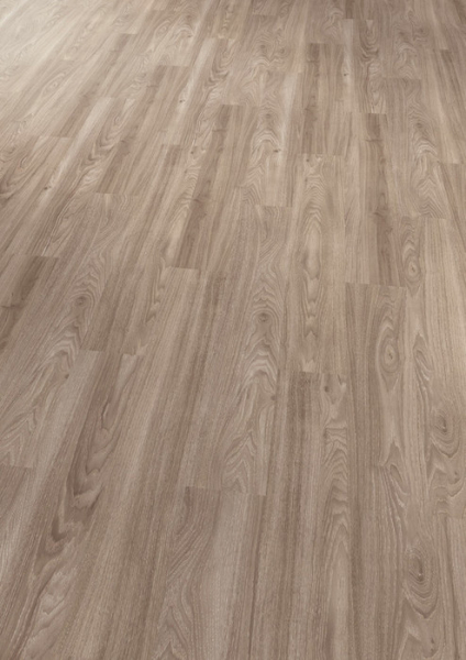 Commercia Light Elm